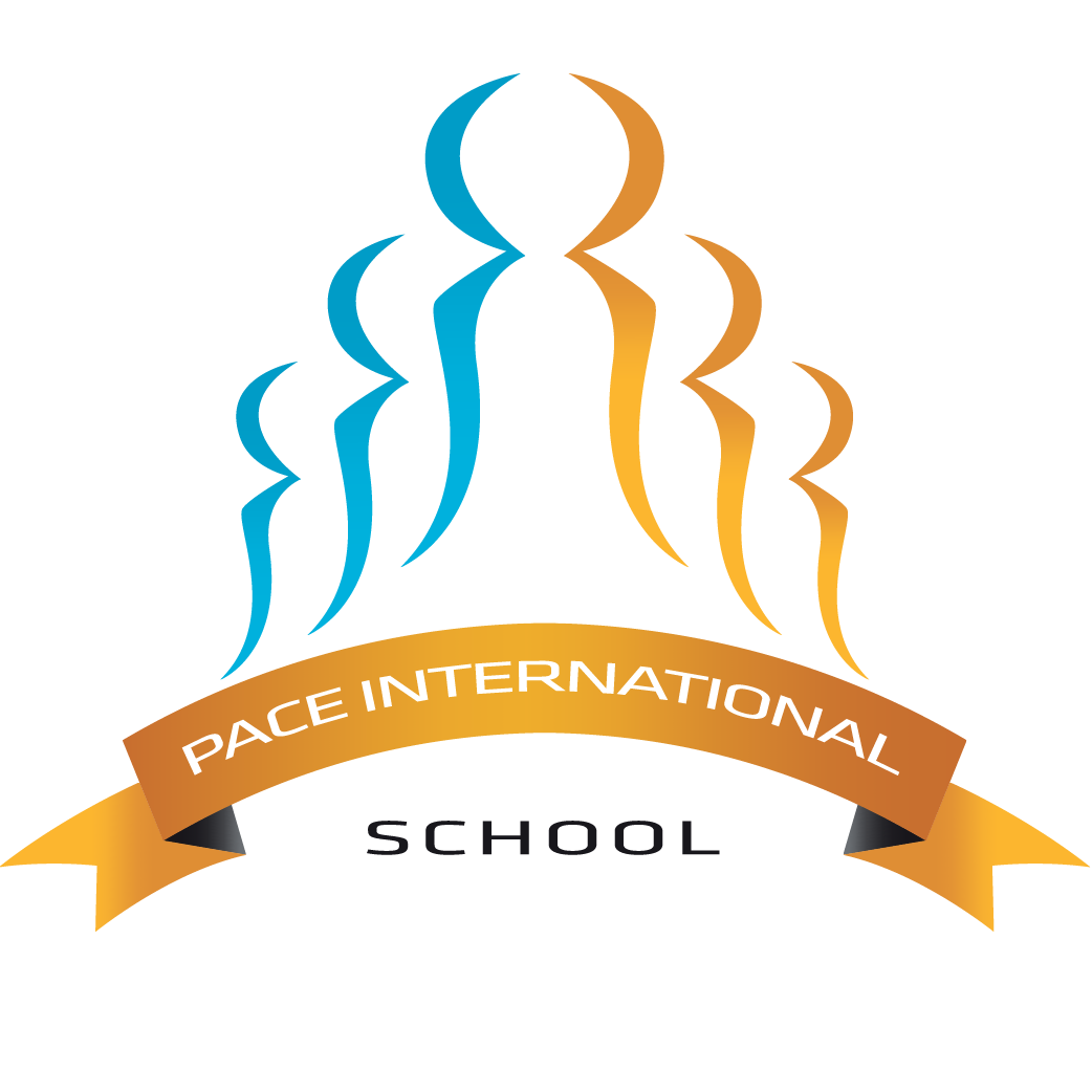 PACE International School LLC
